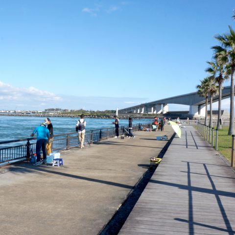 釣り好き！魚好き！海好き！さん　新居弁天海釣公園へGO