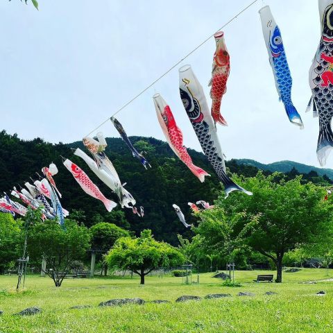 たくさんの鯉のぼりと写真を撮ろう！－おちばの里親水公園－