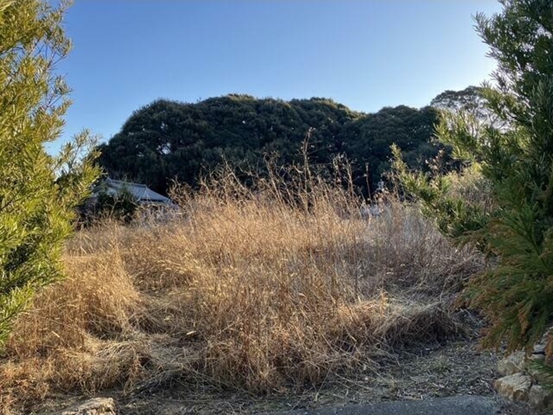 湖西市吉美　302.50坪