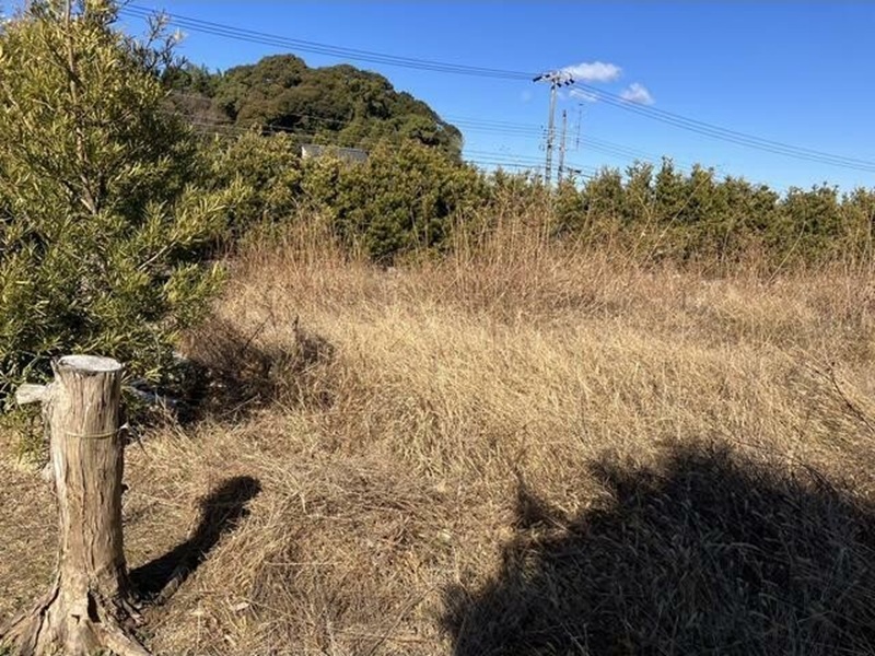 湖西市吉美　302.50坪