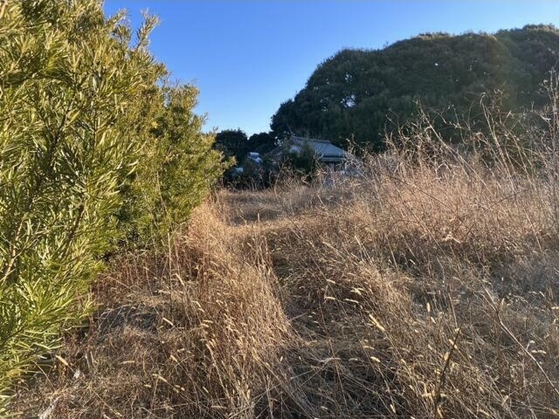 湖西市吉美　302.50坪